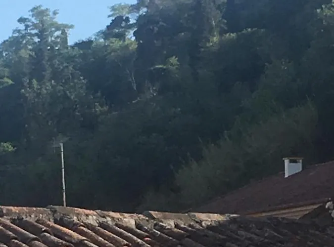 Castle, Terrace And Relax דירה