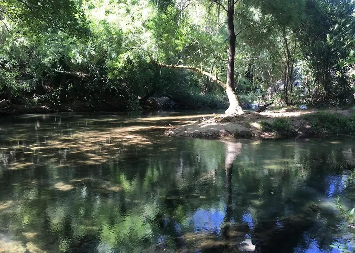 Castle, Terrace And Relax טומאר